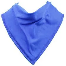 Dry Bib Bandana Bib