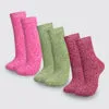 Lambent Wool Crew Socks 3 Pack