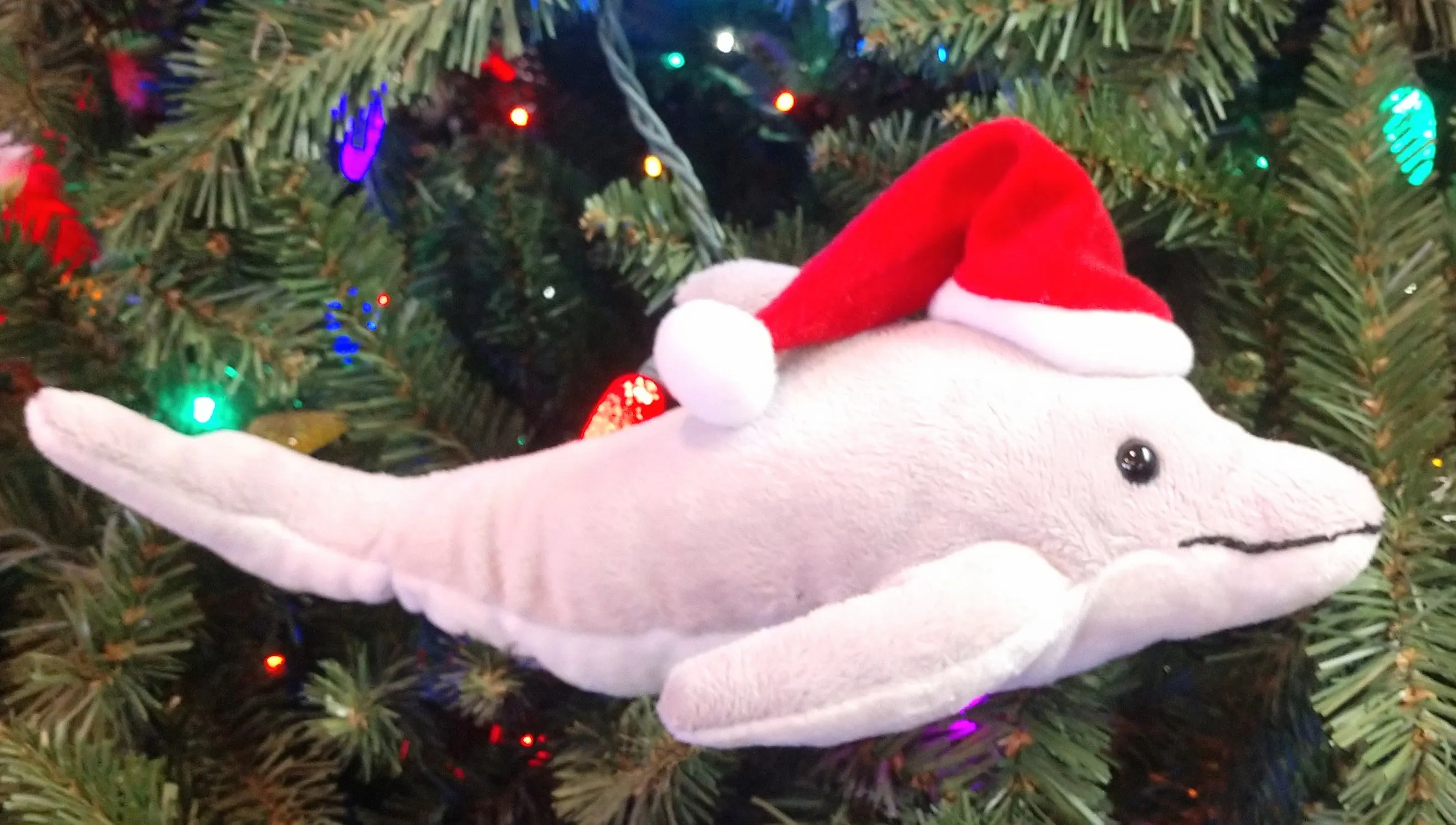 Plush Dolphin with Santa Hat 12"x5"