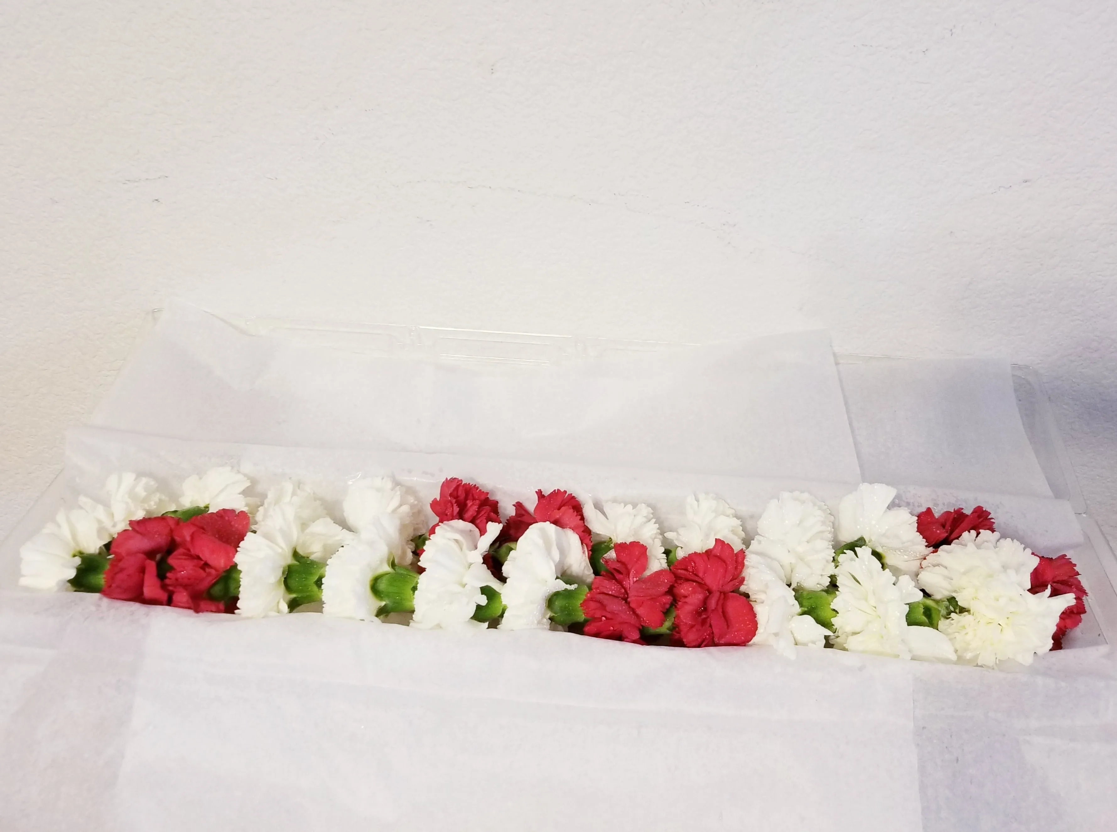 Red & White Carnations Lei