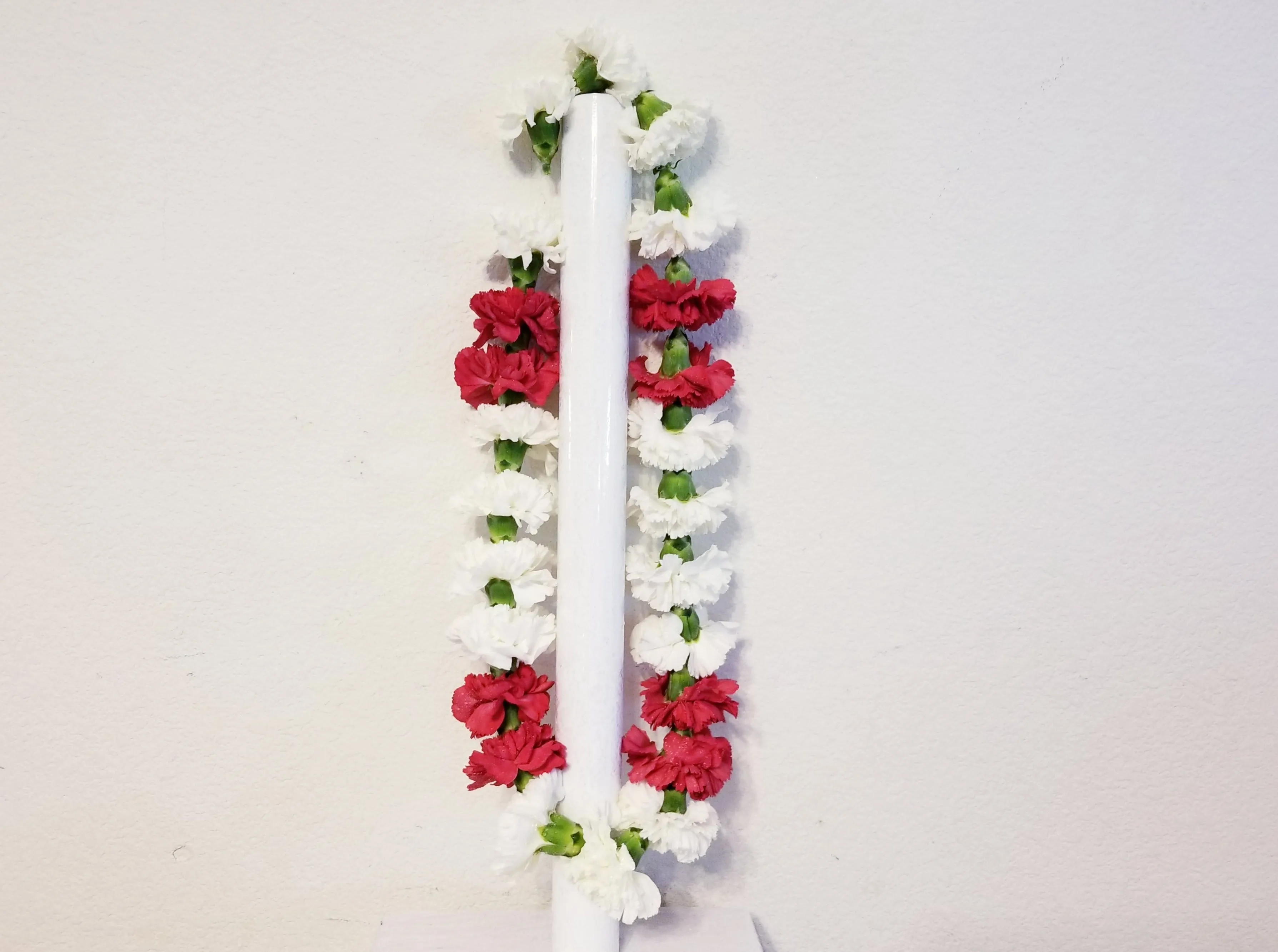 Red & White Carnations Lei