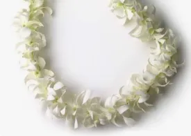 White Orchid Lei